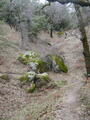 Image file: _3/photo56.jpg