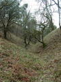 Image file: _3/photo57.jpg