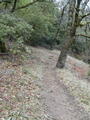 Image file: _3/photo60.jpg