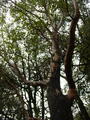 Image file: _3/photo61.jpg