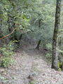 Image file: _3/photo62.jpg