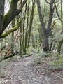 Image file: _3/photo65.jpg