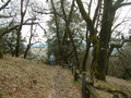 Image file: _4/photo67.jpg