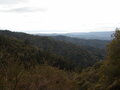 Image file: _4/photo74.jpg