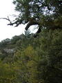 Image file: _4/photo76.jpg