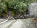 Image file: _4/photo82.jpg