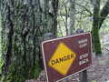 Image file: _4/photo84.jpg