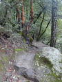 Image file: _4/photo85.jpg