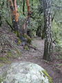 Image file: _4/photo86.jpg
