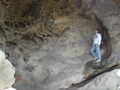 Image file: _4/photo87.jpg