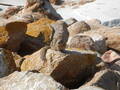 Image file: photo12.jpg