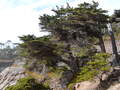 Image file: photo14.jpg