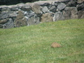 Image file: photo03.jpg
