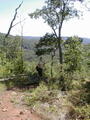 Image file: _1/photo03.jpg