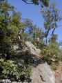 Image file: _1/photo06.jpg
