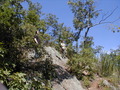 Image file: _1/photo07.jpg