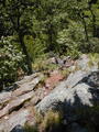 Image file: _1/photo10.jpg