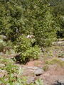 Image file: _1/photo11.jpg