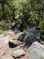 Image file: _1/photo12.jpg