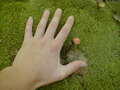 Image file: _2/photo17.jpg