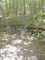 Image file: _2/photo18.jpg