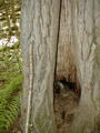 Image file: _2/photo19.jpg