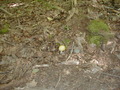 Image file: _2/photo20.jpg