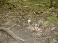 Image file: _2/photo21.jpg