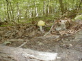Image file: _2/photo22.jpg