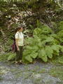 Image file: _2/photo23.jpg