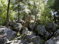 Image file: _2/photo29.jpg