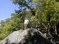 Image file: _2/photo31.jpg