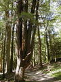 Image file: _2/photo32.jpg