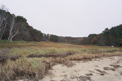 Image file: photo11.jpg