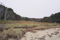 Image file: photo11.jpg