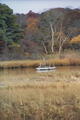 Image file: photo22.jpg