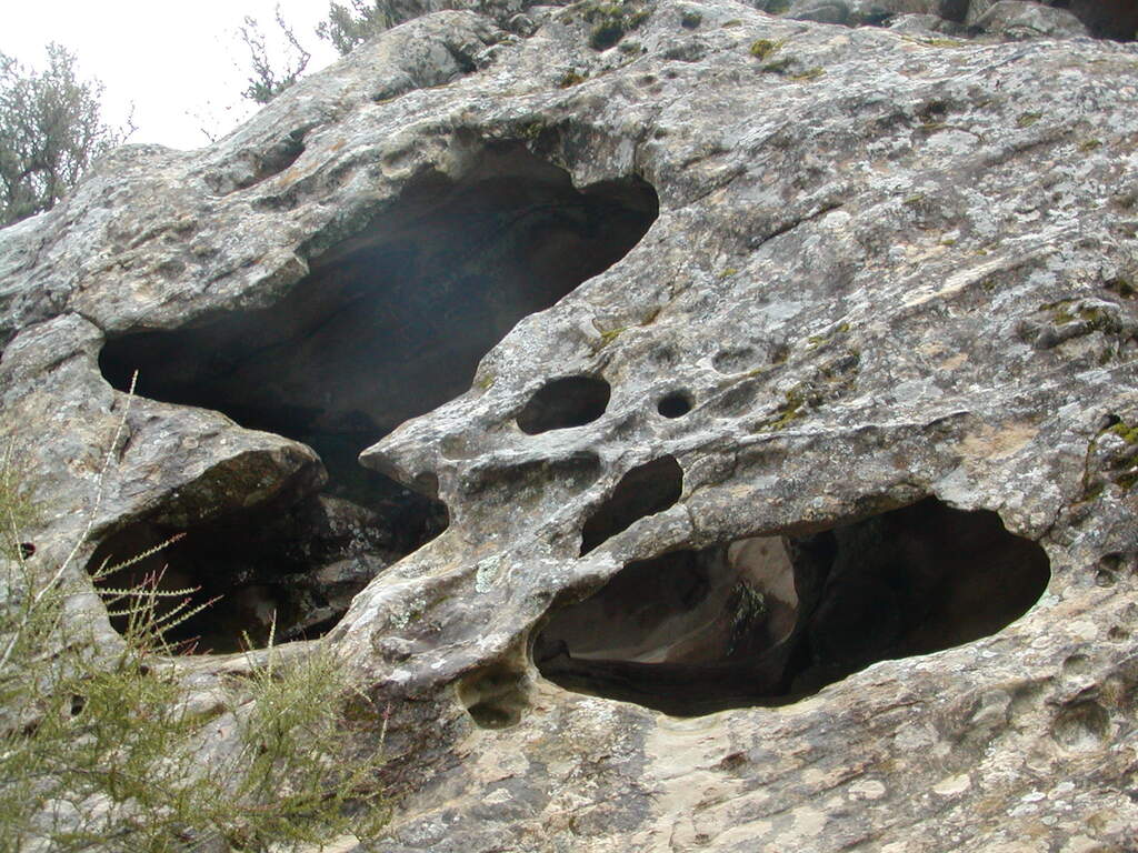 No description provided for: /2008/01-03/0126-castlerock/_2/photo26.html