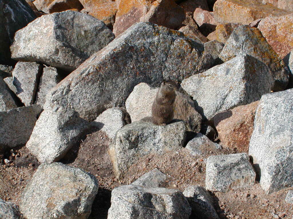 No description provided for: /2008/01-03/0201-monterey/photo11.html