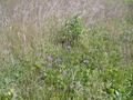 Image file: _1/photo03.jpg