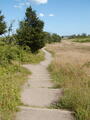 Image file: _1/photo05.jpg