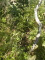 Image file: _1/photo08.jpg