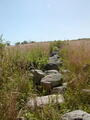 Image file: _1/photo09.jpg
