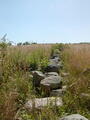 Image file: _1/photo10.jpg