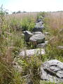 Image file: _1/photo11.jpg