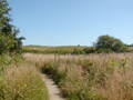 Image file: _1/photo12.jpg