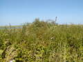 Image file: _1/photo13.jpg