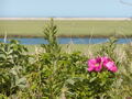 Image file: _1/photo14.jpg