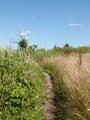 Image file: _1/photo15.jpg