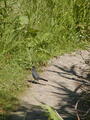 Image file: _1/photo17.jpg