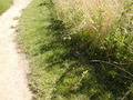 Image file: _1/photo18.jpg